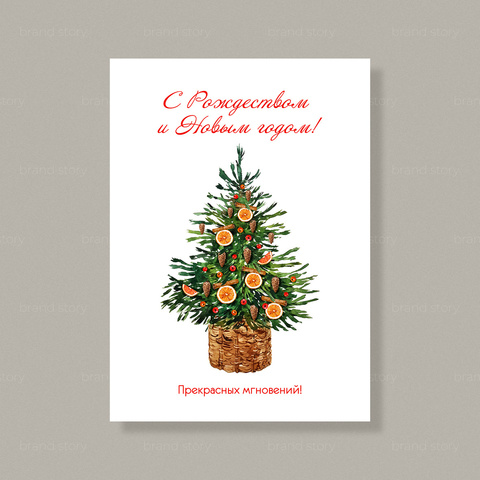 Открытка В3 (5 шт.) 10,5 х 14,8 см