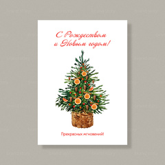 Открытка В3 (5 шт.) 10,5 х 14,8 см