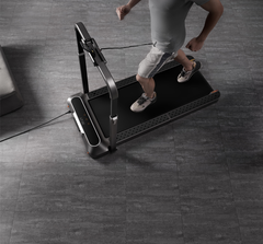 Беговая дорожка KingSmith WalkingPad R2