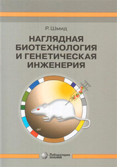 Наглядная биотехнология и генетическая инженерия