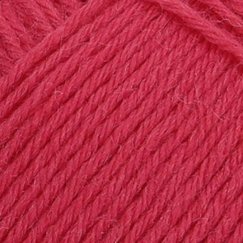 Regia Uni Knit With Colors 1057