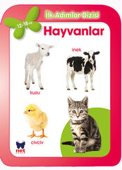 Hayvanlar (12-18 Ay)