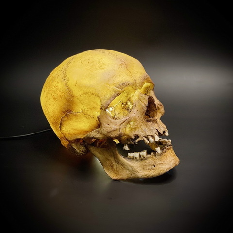 Ночник «Череп человека»