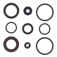 Комплект сальников двигателя P400510400072