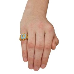 Мэл. Наследники Дисней Коронация