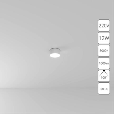 Потолочный светодиодный светильник Arte Lamp FADO A7312PL-1WH