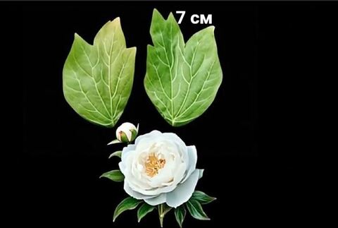 Силиконовый вайнер Лист Пиона № 6