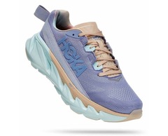 PURPLE IMPRESSION / BLUE GLASS