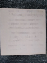 бумага для скрапбукинга БС-21