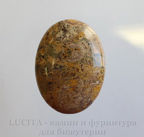 Кабошон Яшма "Шкура леопарда" 39х29х7 мм №9 ()