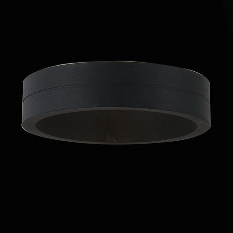 Светильник уличный ST Luce Molto SL562.401.01
