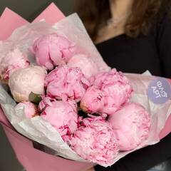 Роскошный букет из 11 розовых пионов «Сара Бернар»