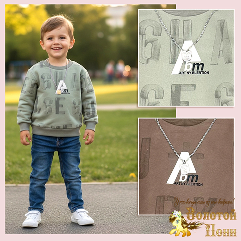 Свитшот трикотаж м (1-5) 260210-Y1082