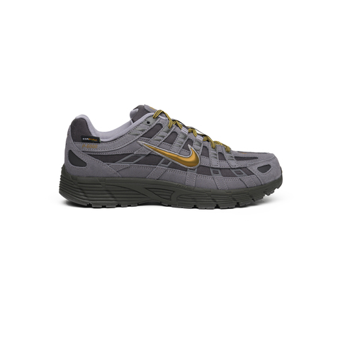 Кроссовки Nike P-6000 Premium CORDURA "Medium Ash/Golden"