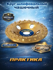 Чашка твёрдосплавная ПРАКТИКА 125 х 22 мм наклонная, зерно # 8 крупное (773-590)