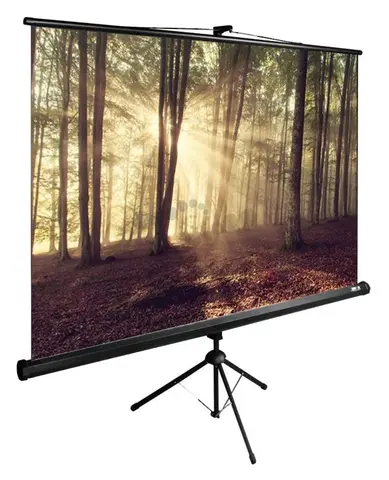 Экран Cactus 135x180см TriExpert CS-PSTE-180x135-BK 4:3 напольный рулонный черный