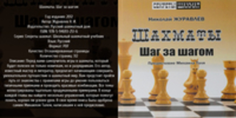 Секреты шахмат. Школьный шахматный учебник - Журавлев Н. И. - Шахматы. Шаг за шагом