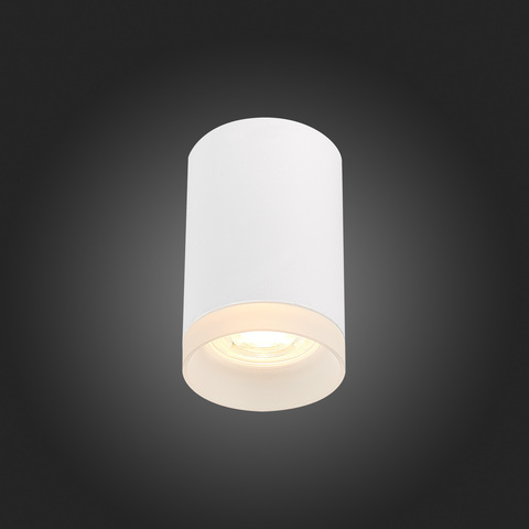 Светильник потолочный ST Luce ST100.502.01