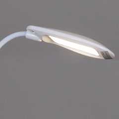 Настольная Лампа 02319-0.7-01 WH (1813 цвет белый WH) Белый