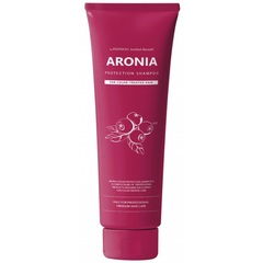 Evas Pedison Institut-beaute Aronia Color Protection Shampoo шампунь с экстрактом аронии для окрашенных волос