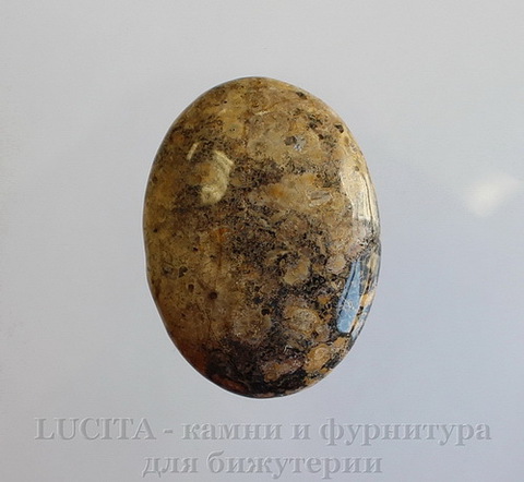 Кабошон Яшма "Шкура леопарда" 39х29х7 мм №14 ()