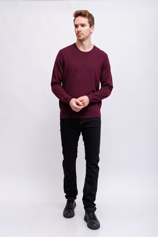 OLYMP Водолазка из шерсти