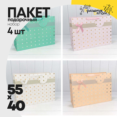 
          Пакет подарочный 55х40х20см Премиум "Леди" с тиснением (Микс)