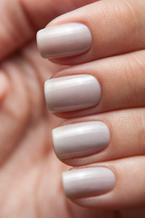 El Corazon 423/  56 active Bio-gel/ Jelly