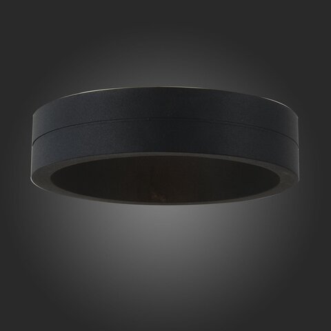 Светильник уличный ST Luce Molto SL562.401.01