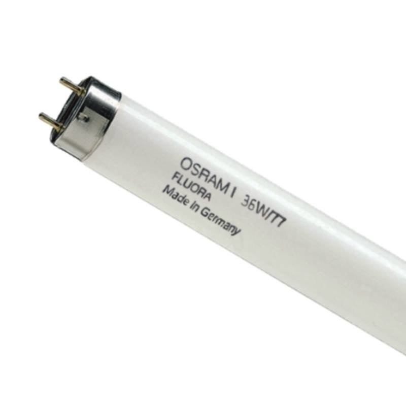 Люминесцентные лампы osram. Люминесцентная лампа для растений t8 Osram l 36 w/77 Fluora g13, 1200 mm. Лампа люминесцентная l 36w/77 Fluora Osram 4050300003184. Лампа люминесцентная Osram l36w/765. Лампа люм. L 30w/765 g13 Osram.