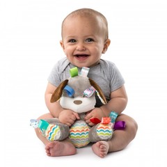 Bright Starts Развивающая игрушка 