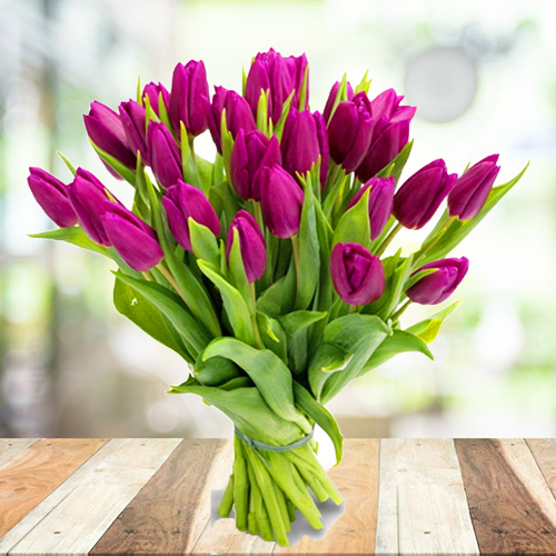 Купить букет из фиолетовых, пурпурных тюльпанов 25шт. Пермь