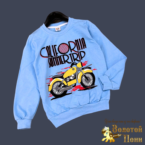 Свитшот хлопок м (6-9) 240826-GF1334
