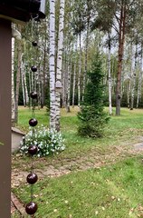 Дождевая цепь 