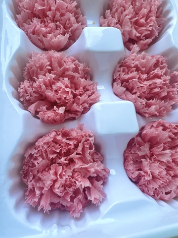 Гвоздика 3-4 см. Розовый насыщенный (половина коробки-5 шт)