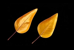 Силиконовый молд 