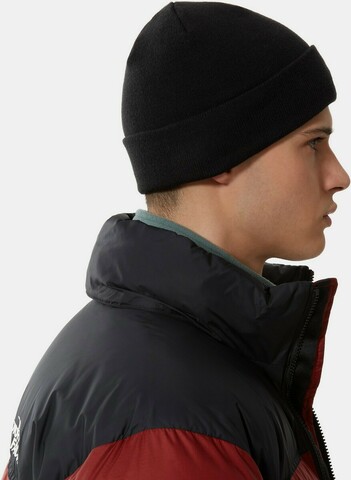 Картинка шапка The North Face Norm Shallow Black - 5