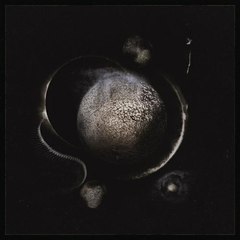 Enthroned / Cold Black Suns (RU)(CD)