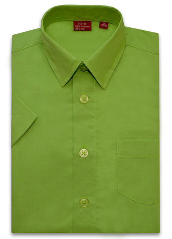 Зеленая рубашка с коротким рукавом для мальчика TSAREVICH