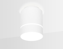 Накладной светодиодный точечный светильник Ambrella TN255 WH/S белый/песок