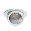 Встраиваемый светильник Arte Lamp Cardani A1212PL-1WH
