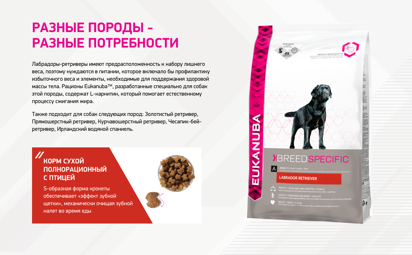 Корм для взрослых собак, Eukanuba Dog LABRADOR, породы Лабрадор-ретривер  купить с доставкой в интернет-магазине зоогастроном.ру