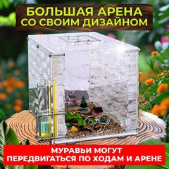 Большая муравьиная ферма 