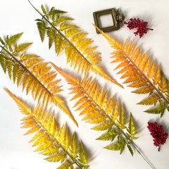 Папоротник осенний оранжевый, зелень искусственная, 60 см, набор 5 веток.