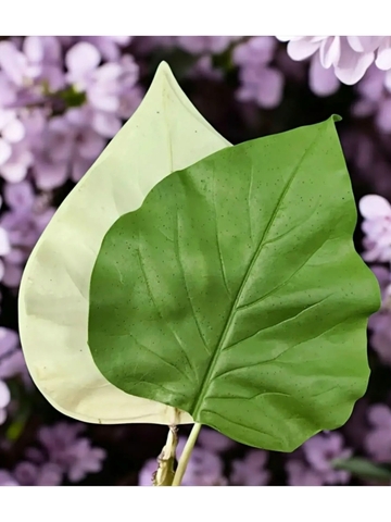 Молд пластиковый лист сирени 12,8х10,5см