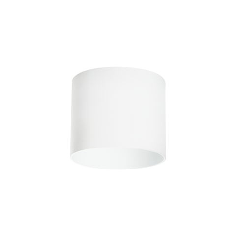 Накладной светильник Lightstar Rullo 213486