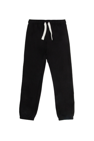 Брюки спортивные для мальчиков LINCOLN & SHARKS