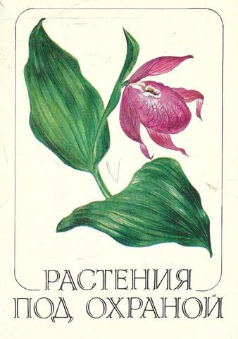 Растения под охраной