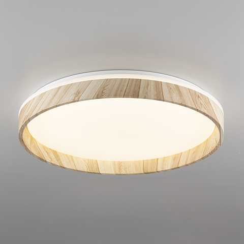 Потолочный светодиодный светильник Citilux ENZO CL753452G