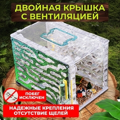 Большая муравьиная ферма 
